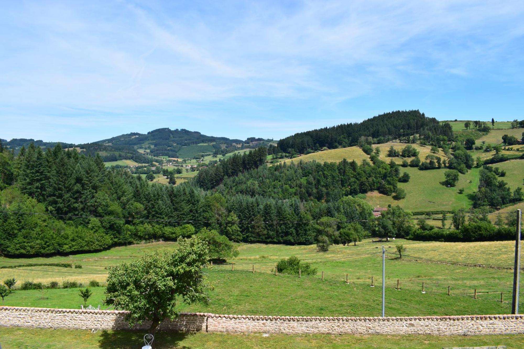 Le Domaine De La Source Hotell Chauffailles Exteriör bild