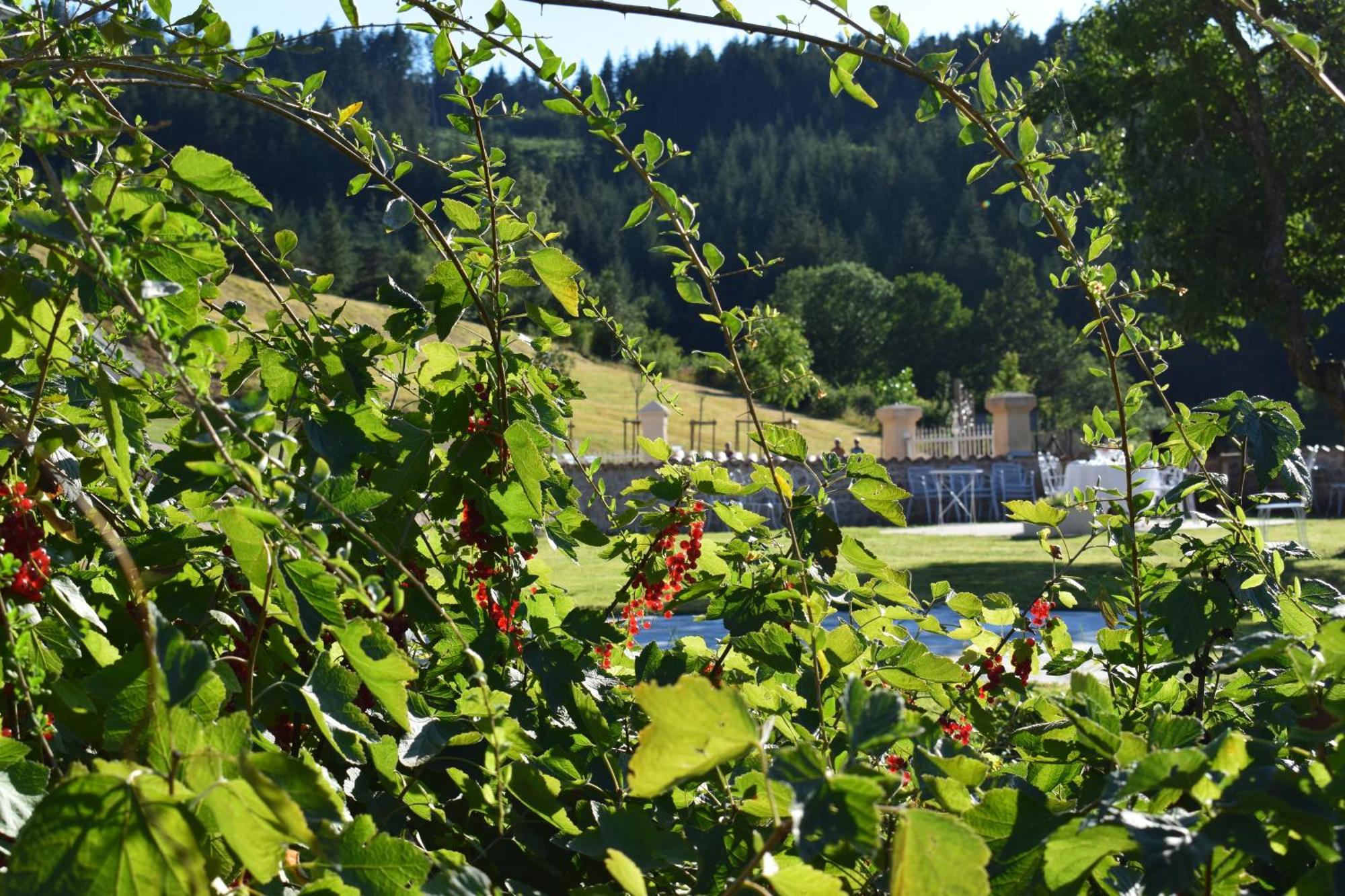 Le Domaine De La Source Hotell Chauffailles Exteriör bild